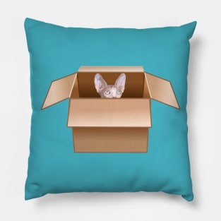 Sphynx Kitten Peeking from Cardboard Box Pillow