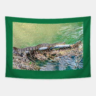 Water Snake Slithering Along Tapestry