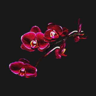 Orchids #8 T-Shirt