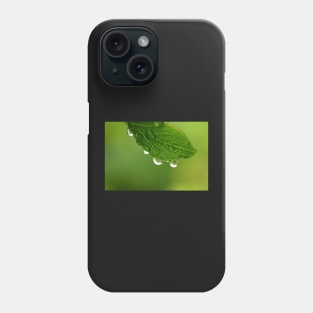 Rain drops on the leaf Phone Case