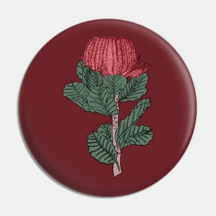 Banskia Pin