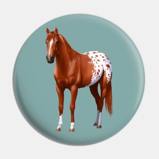 Chestnut Sorrel Quarter Horse Appaloosa Stallion Pin