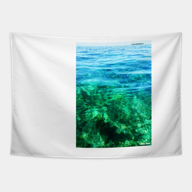 honduras reef trap by camera in crystal water Tapestry by jorge_lebeau