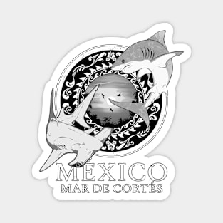 White Shark and Hammerhead Shark Mexico Sea of Cortez Magnet