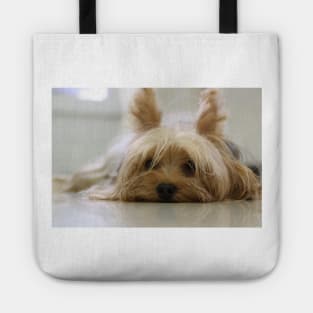 Yorkshire Terrier Laying Flat Tote