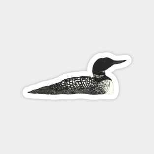 Common Loon Magnet