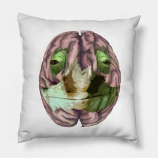 A developed brain in an hour 3:00 Pillow