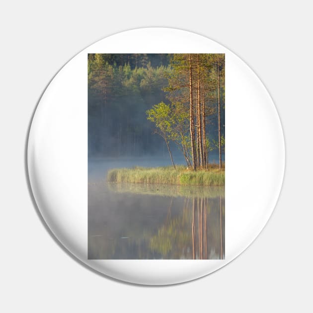 Forest reflecting to small lake at summer morning Pin by Juhku