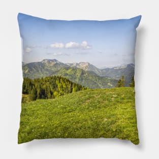 SCENERY 88 - Mountainous Landform Forest Nature Wilderness Pillow