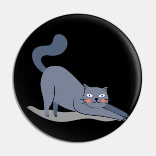 Cat Retro Distressed Style Vintage Pin