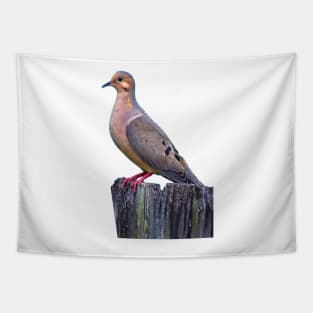 Mourning Dove on a Fence Tapestry