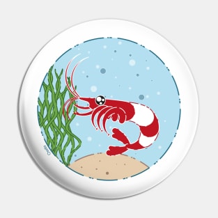 The little red shrimp Pin