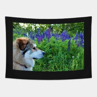 Freyja in the Lupins Tapestry