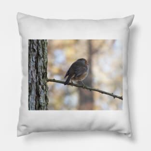 Robin Christmas Card Pillow