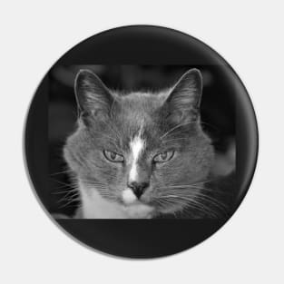 Satine the Cat of Age and Wisdom Pin