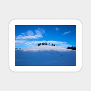 Snowy mountain top with trees Magnet