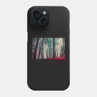 Killiney Hill Phone Case