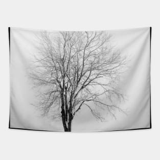 Skeletal Tree in a Snow Squall - BW Tapestry