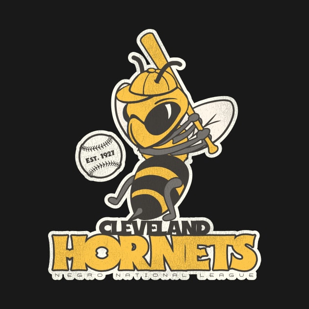 Defunct Cleveland Hornets Baseball Team by Defunctland