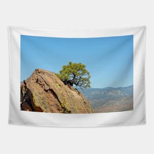 Shrub and Rock at Canon City Tapestry