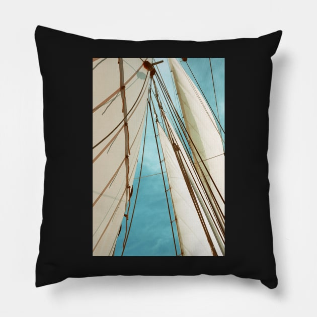 Catching The Wind Pillow by ALICIABOCK