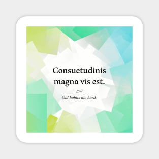 Latin quote: Consuetudinis magna vis est, old habits die hard Magnet