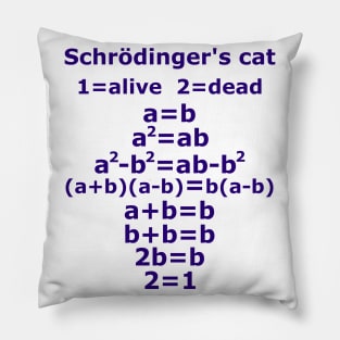 Physics nerd teacher saying Schrödinger's cat Pillow