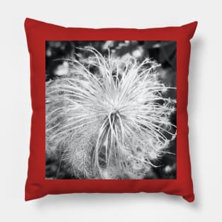 Be a Wild Explosion Pillow