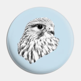 Kestrel portrait Pin