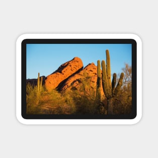 Papago Park Mountain at Sunrise Phoenix AZ Cactus Magnet