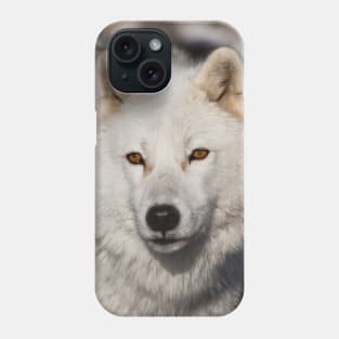 Arctic Wolf Phone Case