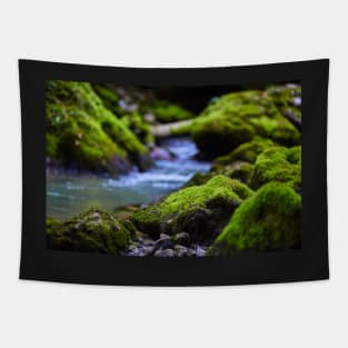 Mossy boulders in a river Tapestry