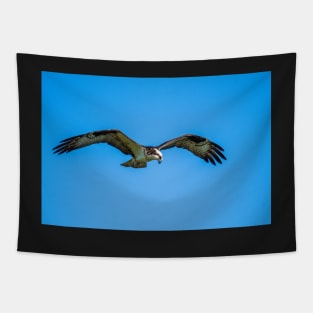 River Hawk Tapestry