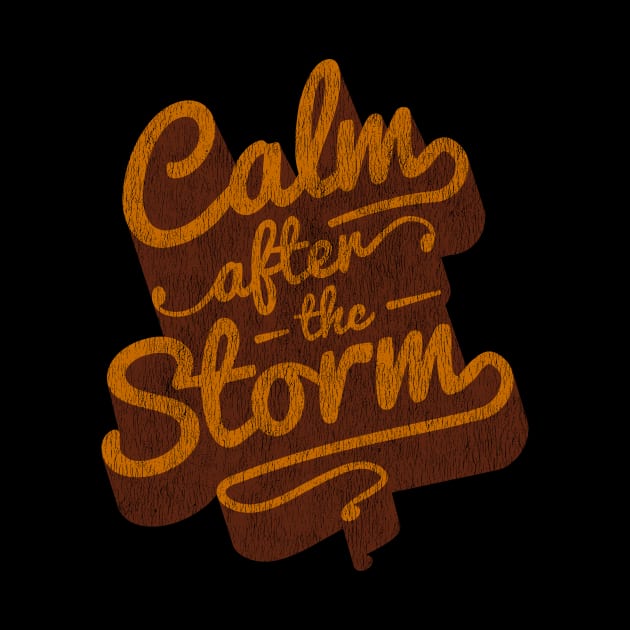 Calm After The Storm - Retro Saying by propellerhead