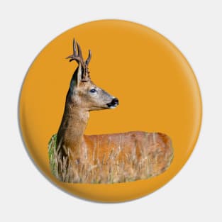 Roe buck Pin