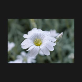 White flower T-Shirt