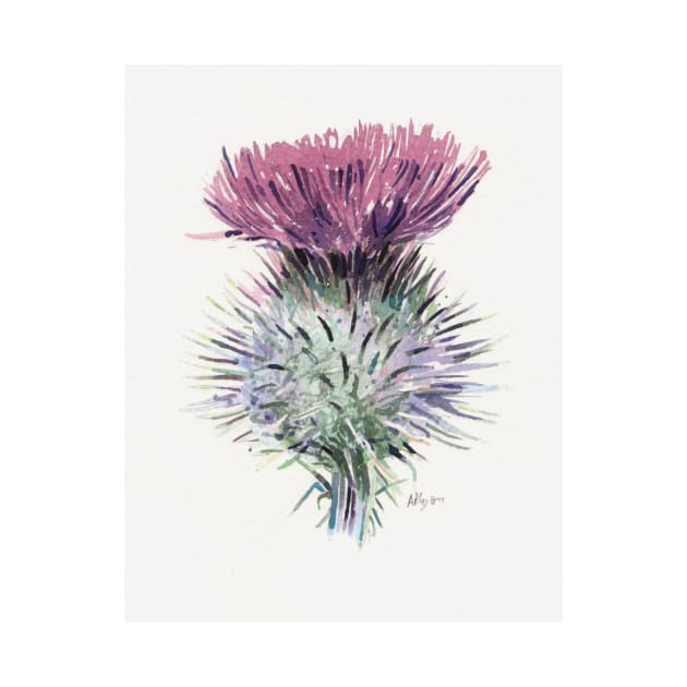 Scottish Thistle by arlyon