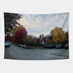 Autumn Scene in Columbus, Ohio Tapestry