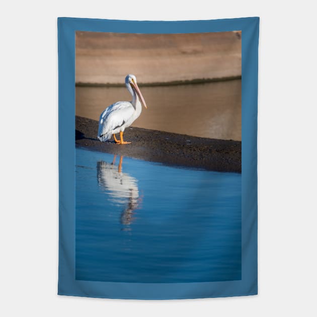 American White Pelican Calmly Watching Tapestry by Debra Martz