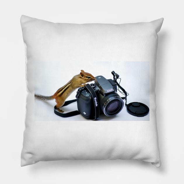 Point of View Pillow by LaurieMinor