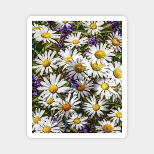 Daisies and Delphinium Magnet