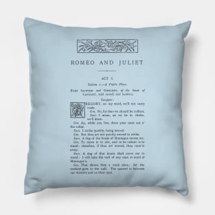 Shakespeare renaissance poet bookish English teacher Pillow