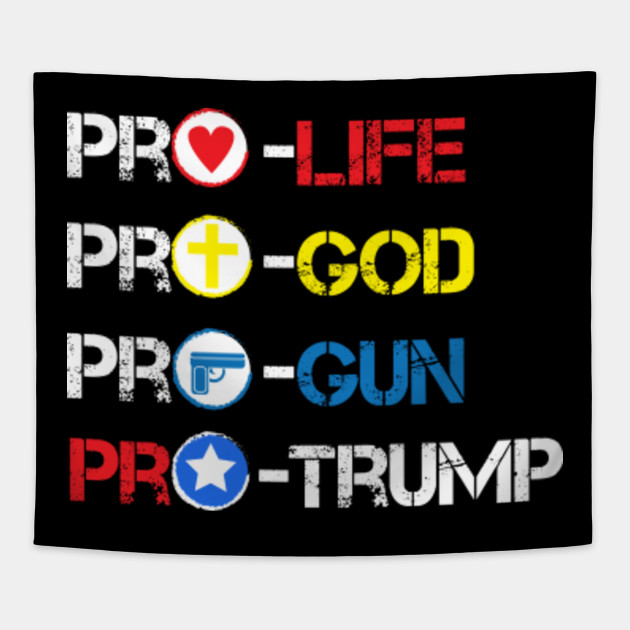 Pro-Life Pro-God Pro-Gun Pro-Trump T-Shirt Religious Jesus Christ ...