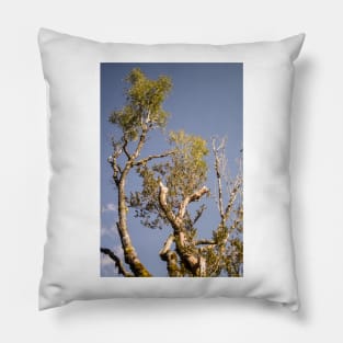 rbs lone tree Pillow