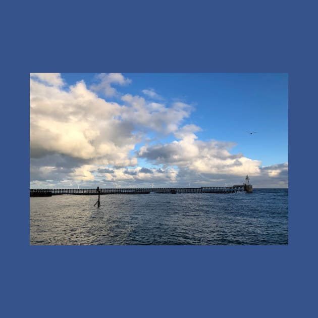 Cambois Pier and Lighthouse by Violaman