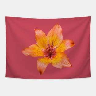 Orange Tone Lily Flower Isolated Tapestry