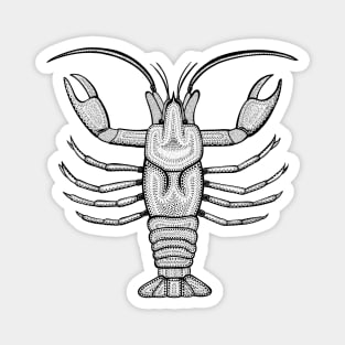 Crayfish or Crawdad or Mudbug Ink Art - animal design - light colors Magnet