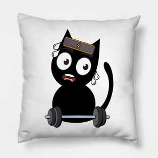 Funny black cat is exercising Pillow