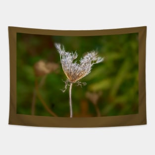 Withering Queen Annes Lace Tapestry