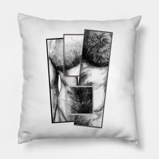 Combination 1 Pillow